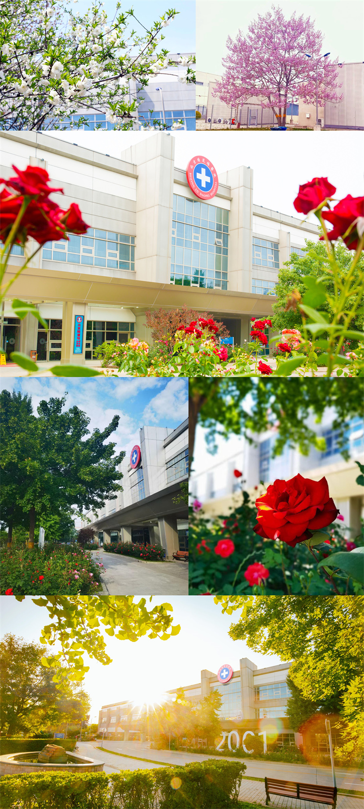 62cfc98312051.jpg 62cfc98312051.jpg